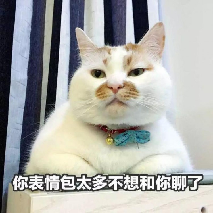 祖先的智慧：这7种特征的猫，家中不能养！