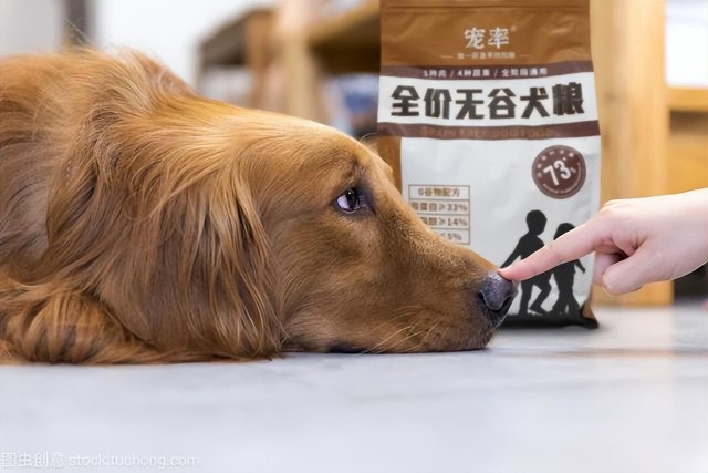 大型犬狗粮什么品牌好